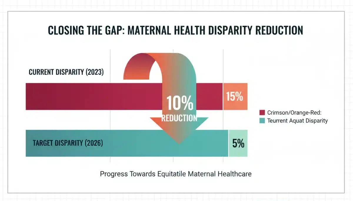 Infographic showing declining maternal health disparity towards 2026 goal.